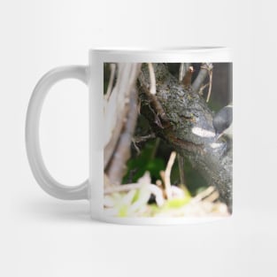 NEW  THE PANASONIC FZ 1000 PAR OKAIO CREATION Mug